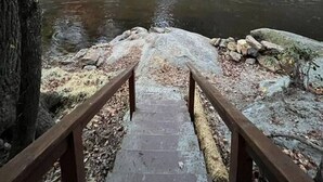 A wooden staircase leading to a river surrounded by autumn-colored trees. - Toccoa River Fun + Hot Tub, Game Rm, Fish, Swim (Blue Ridge)