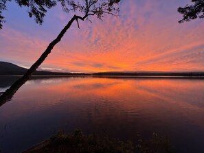 A calm lake at sunset with a tree branch in the foreground.