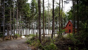 Une zone boisée avec un sentier de terre menant à un chalet rouge.