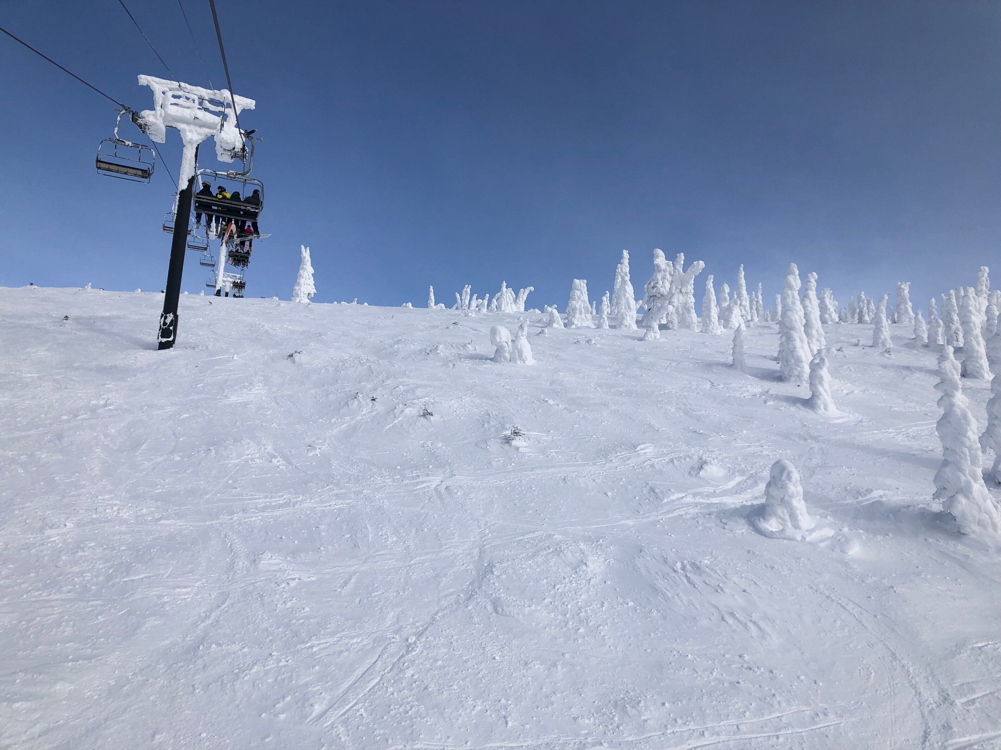 Pista de esquí nevada con telesilla y árboles cubiertos de nieve.