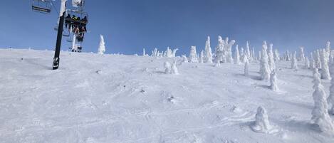 Pista de esquí nevada con telesilla y árboles cubiertos de nieve.