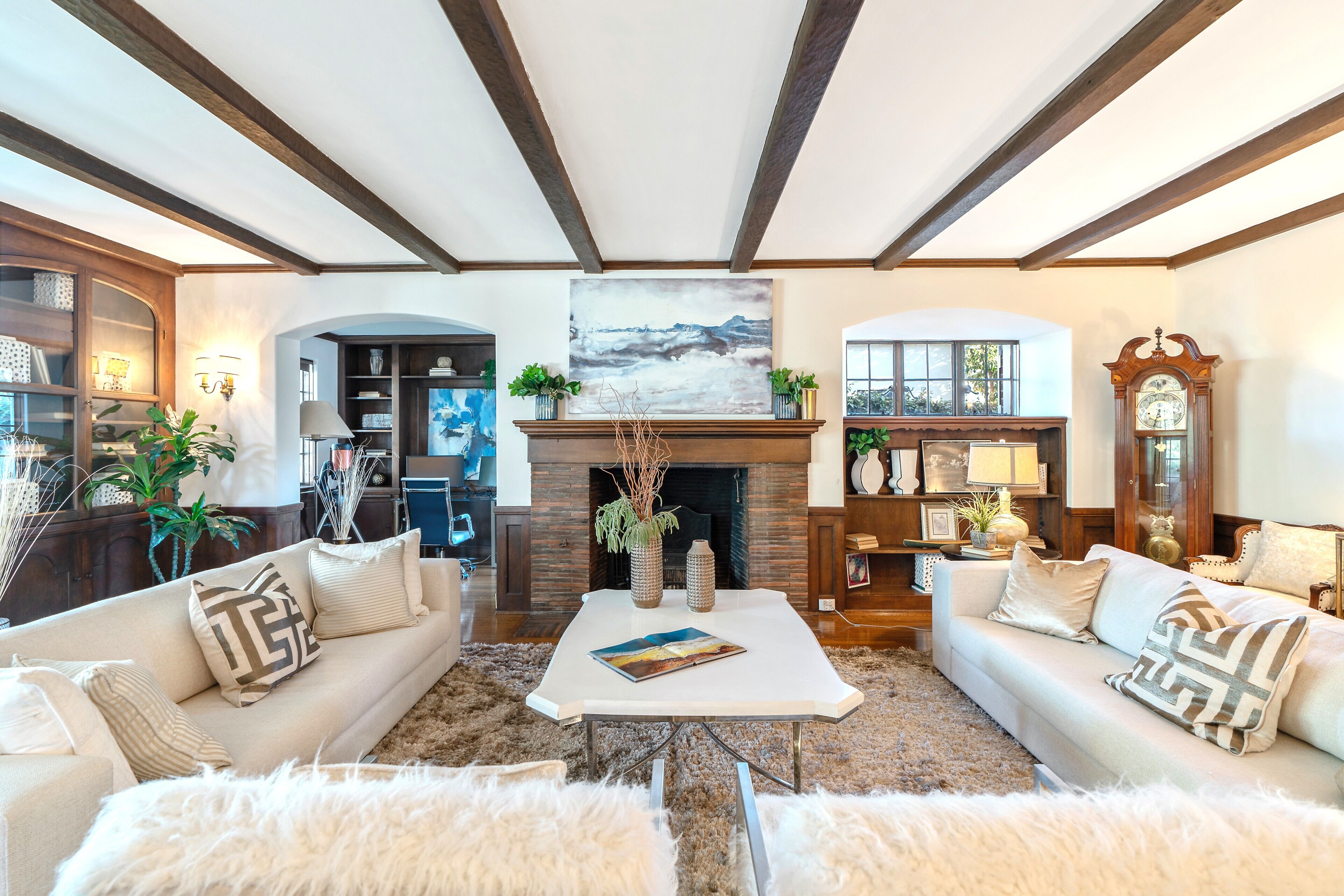 Smart TV, fireplace, books, computer monitors