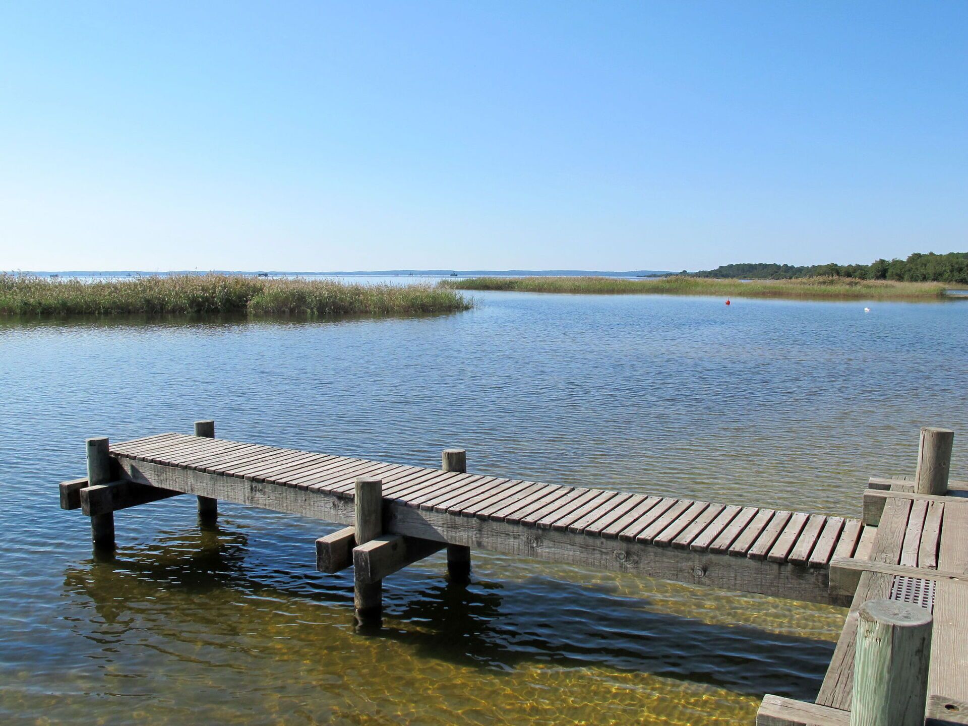Eine hölzerne Pier, die sich in ein ruhiges Gewässer erstreckt, mit klarem Wasser und Land in der Ferne.