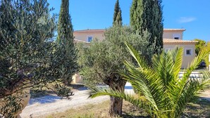 Une villa de style méditerranéen, avec une allée en gravier, entourée d’oliviers et d’un palmier.