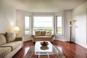 Smart TV, fireplace, printers