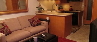 Beautiful Efficiency: full size kitchen, pet & 420 friendly, walk to everything
