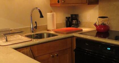 Beautiful Efficiency: full size kitchen, pet & 420 friendly, walk to everything