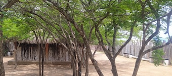 Hostal CQ Camarones