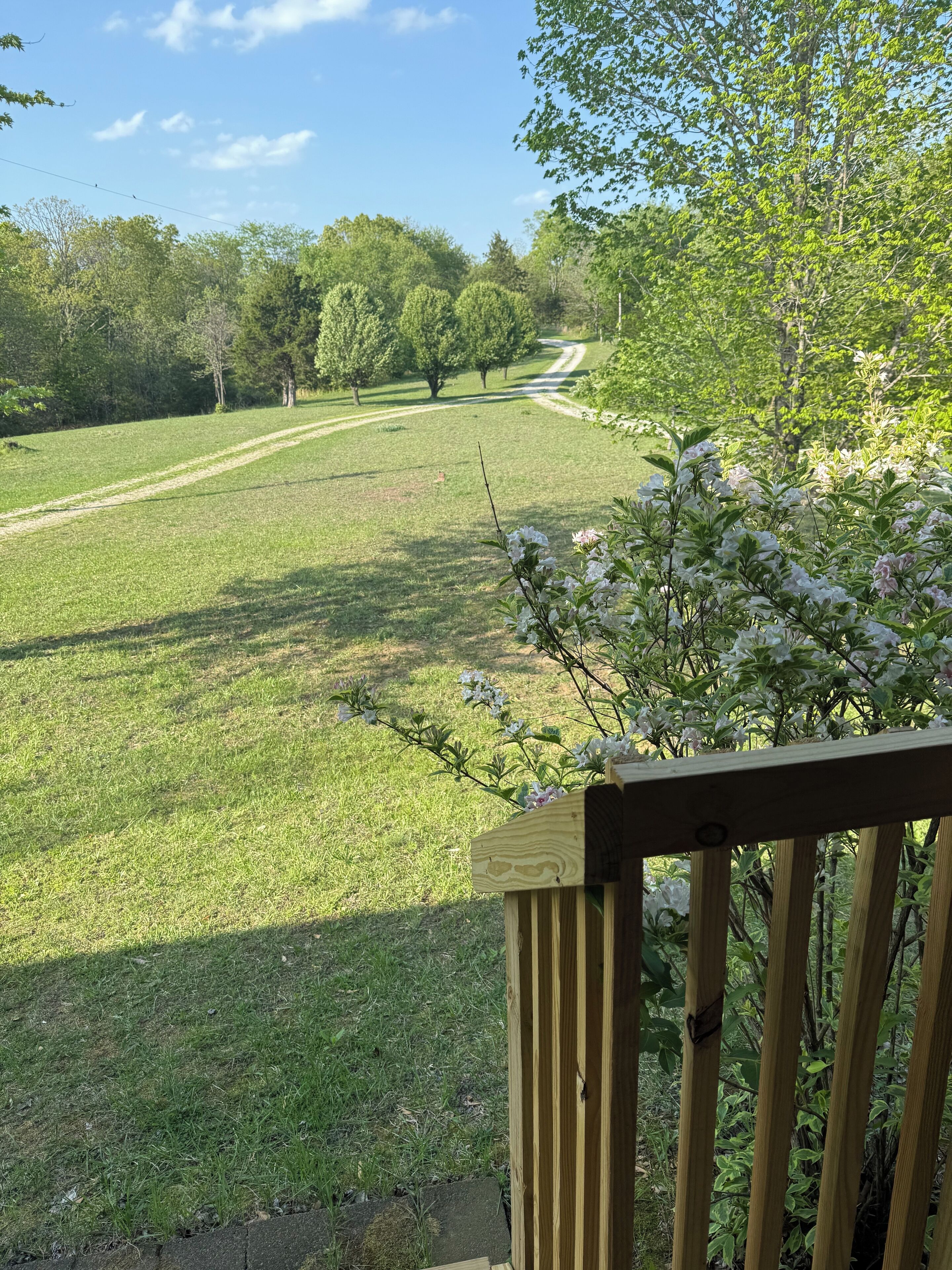 Vista de un campo cubierto de césped, una valla de madera y flores en flor.