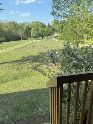 Vista de un campo cubierto de césped, una valla de madera y flores en flor.
