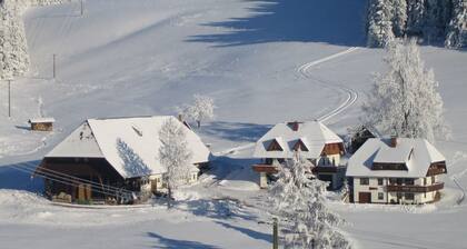 Apartment "Pusteblume" with terrace & WIFI
