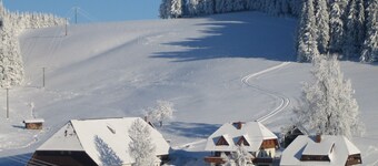 Apartment "Pusteblume" with terrace & WIFI