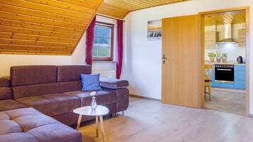 Fernseher, Tischtennisplatte