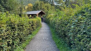 Een grindpad dat leidt naar een houten constructie, omringd door weelderige begroeiing en bomen.