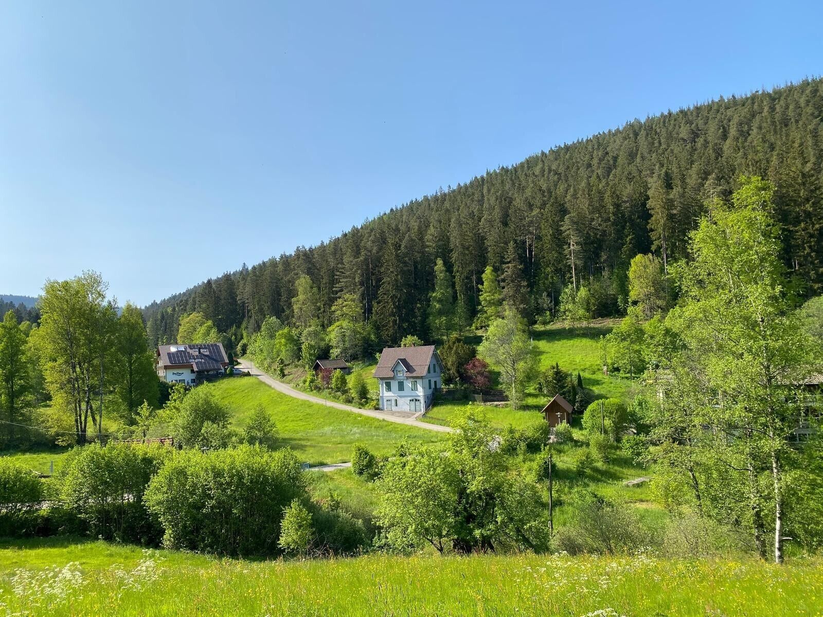 Ländliche Landschaft mit Häusern, umgeben von viel Grün und einem bewaldeten Hügel.
