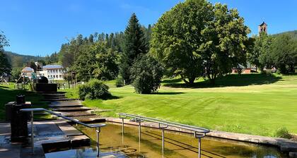 Ferienwohnung Wildbach, 80 qm, Infrarotsauna, umzäunter Garten, Grill, Wlan, Waldrandlage