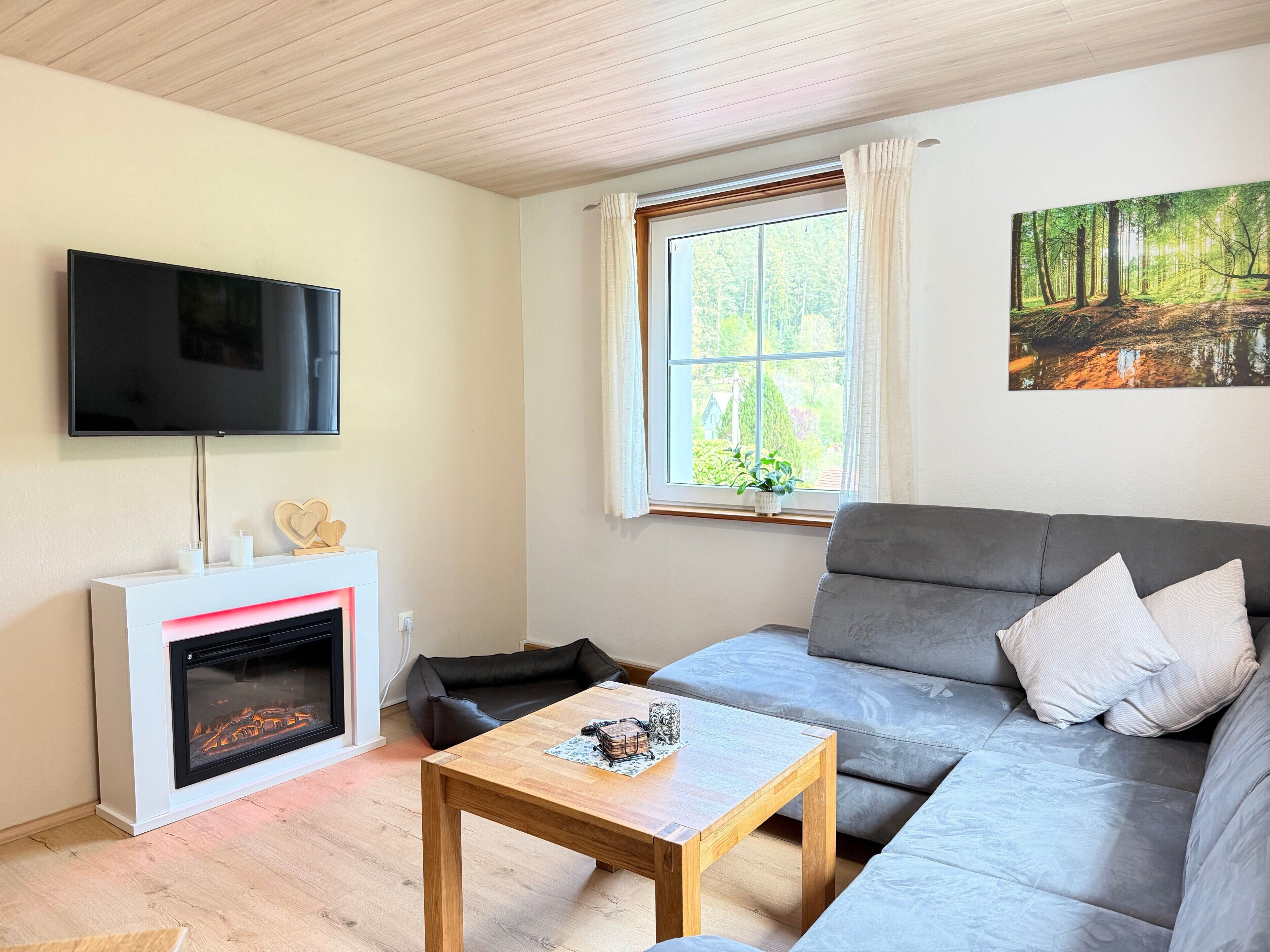 Fernseher