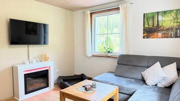 Fernseher