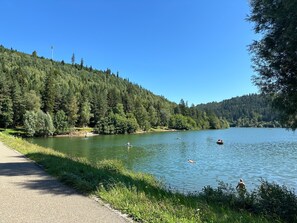 A serene lakeside view with a paved path, dense forest, and calm water.
