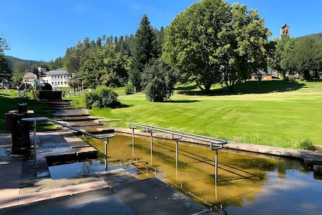 Property grounds. Studio 'Tannenwipfel, 40 sqm' with Mountain View, Infrared Sauna, Fenced Dining Area, Wi-Fi