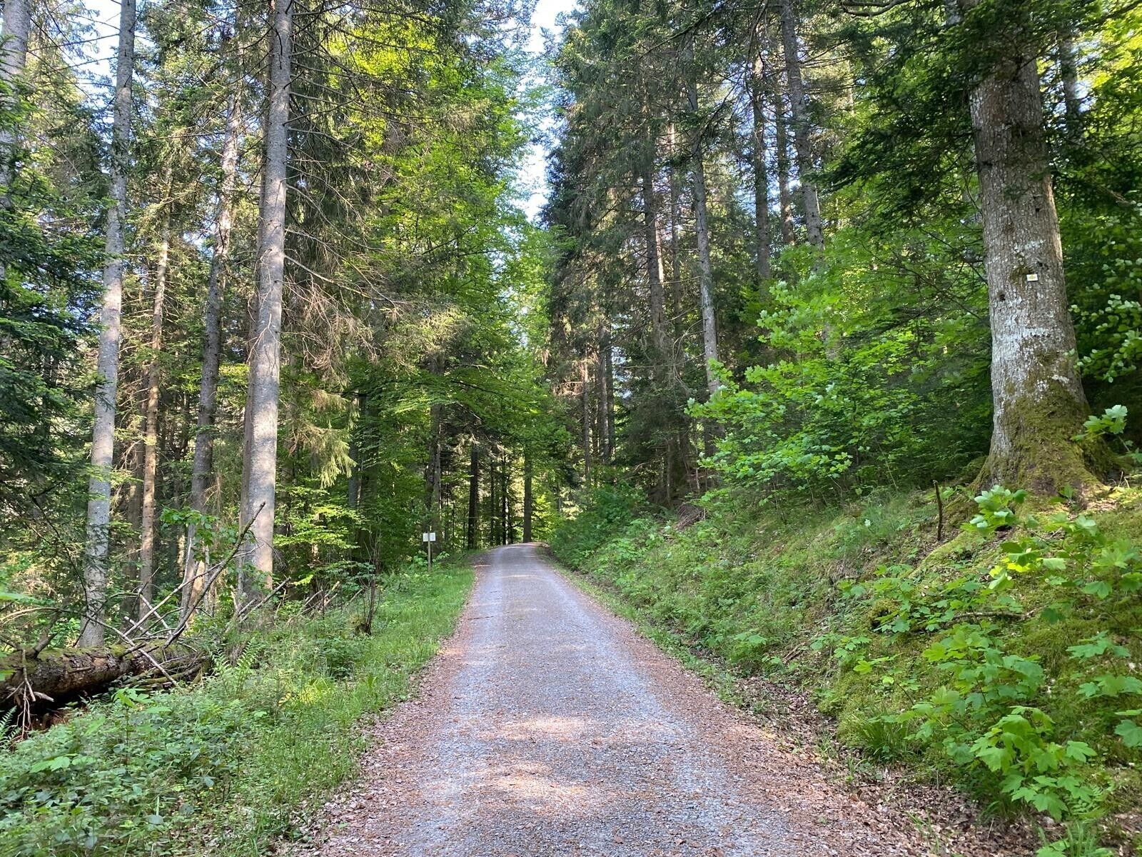 منوع