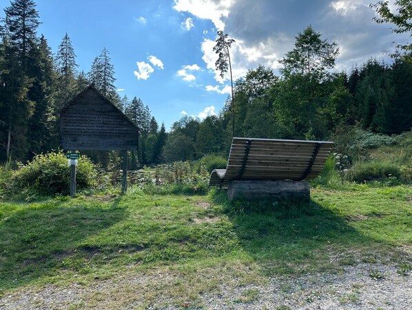 A wooden bench in a forested area with a signpost in the background.