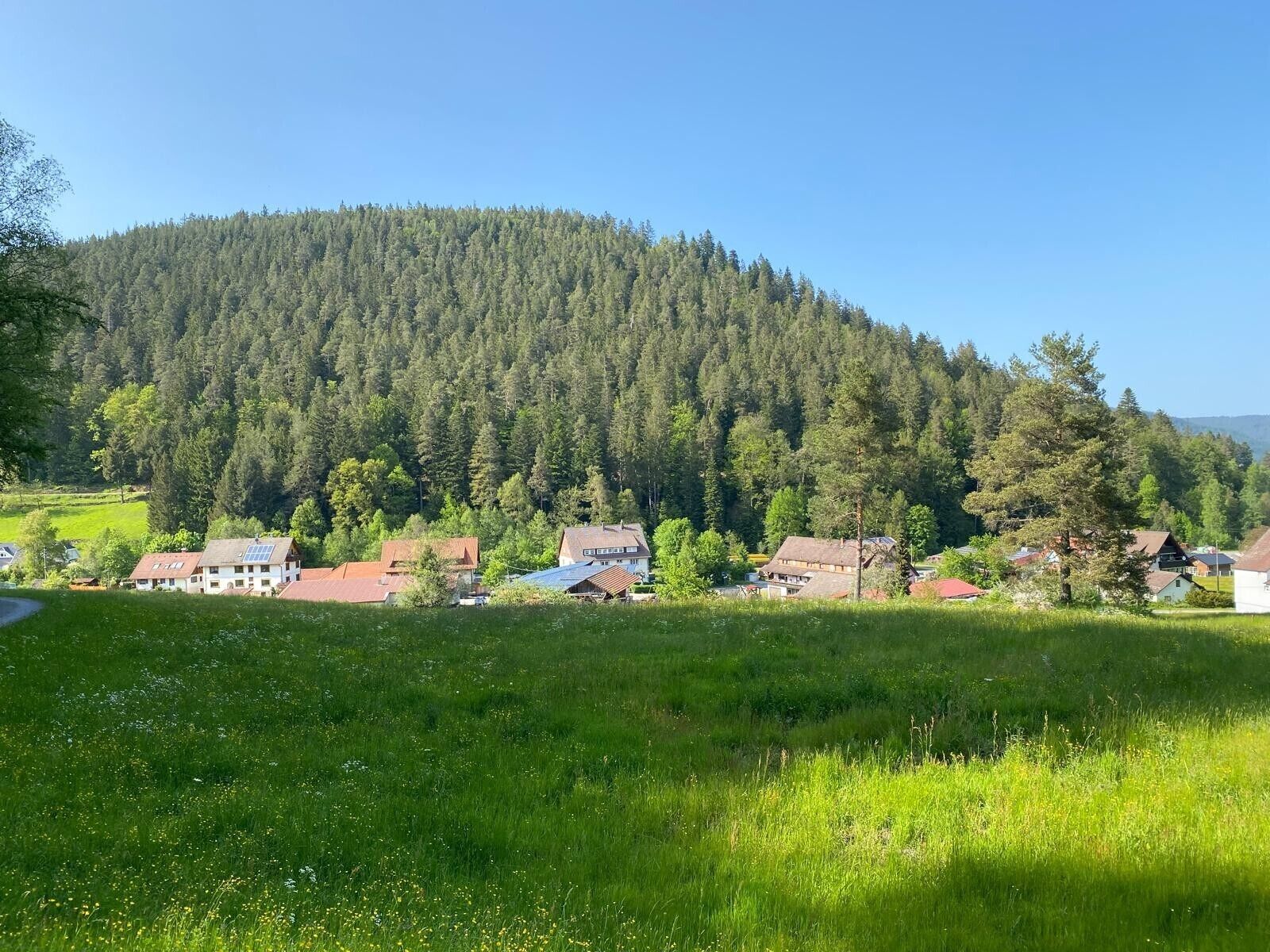 A rural village with houses and a forested hill in the background.
