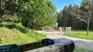 A wooden log bridge over a small stream with picnic tables and a sign in the background. - Holiday Apartment 'Waldblick' with Fireplace, Fenced Garden, Playground, Grill, Wi-Fi, Sauna (Enzklösterle)