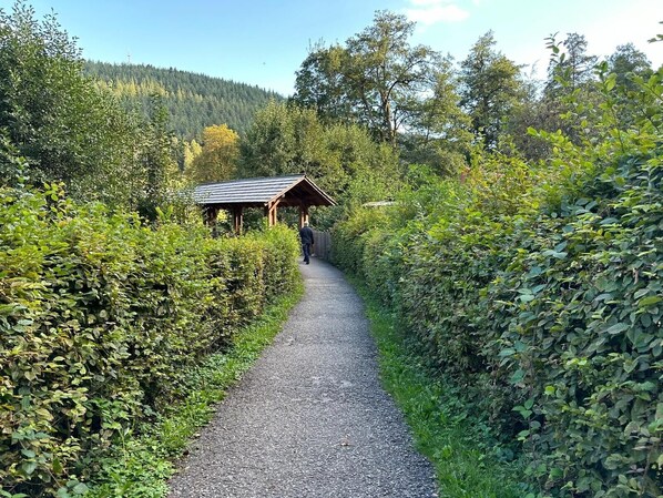 Un chemin de gravier mène à une structure en bois, entourée d’une végétation luxuriante et d’arbres.