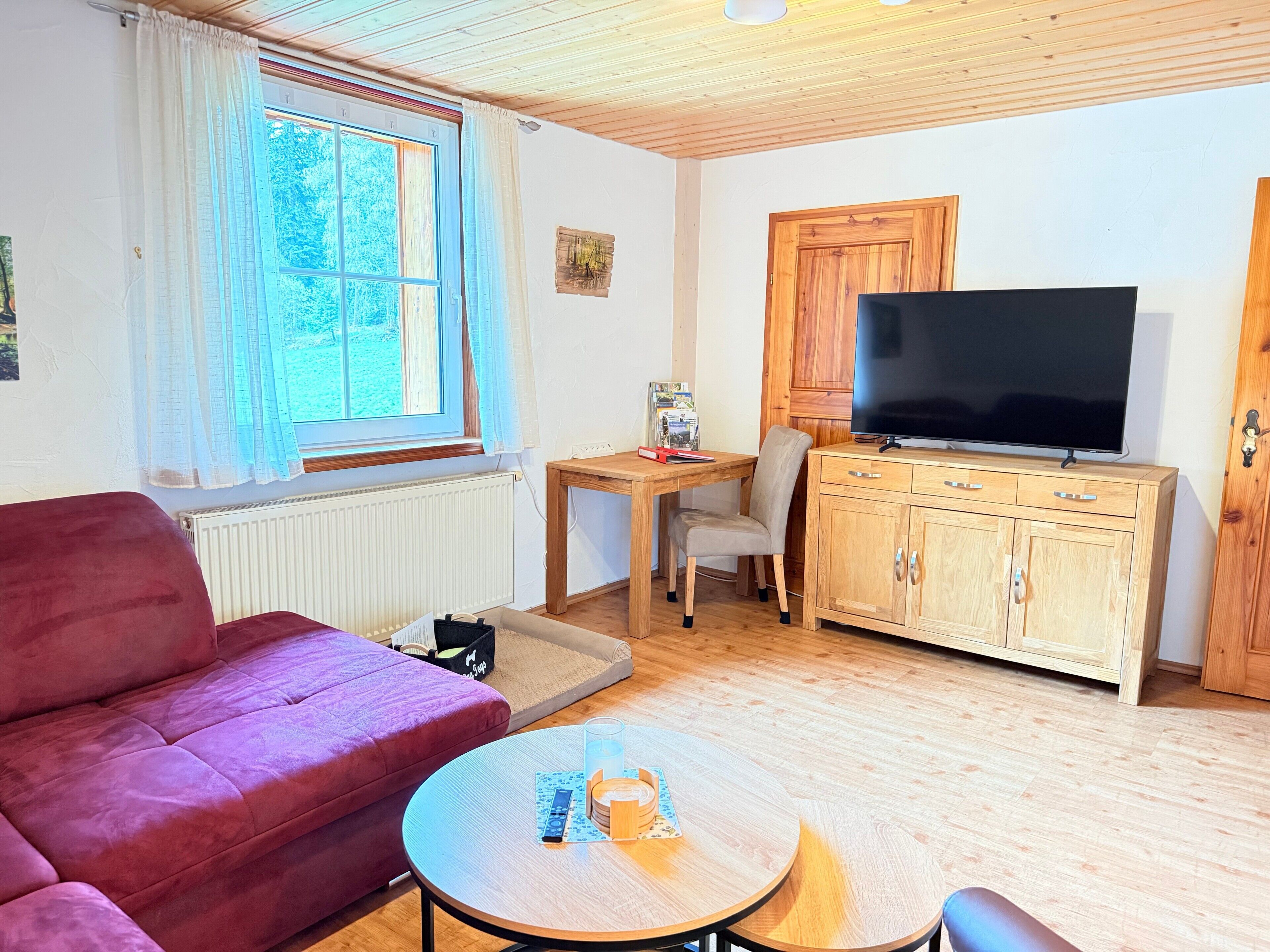 Fernseher