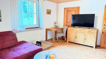Fernseher