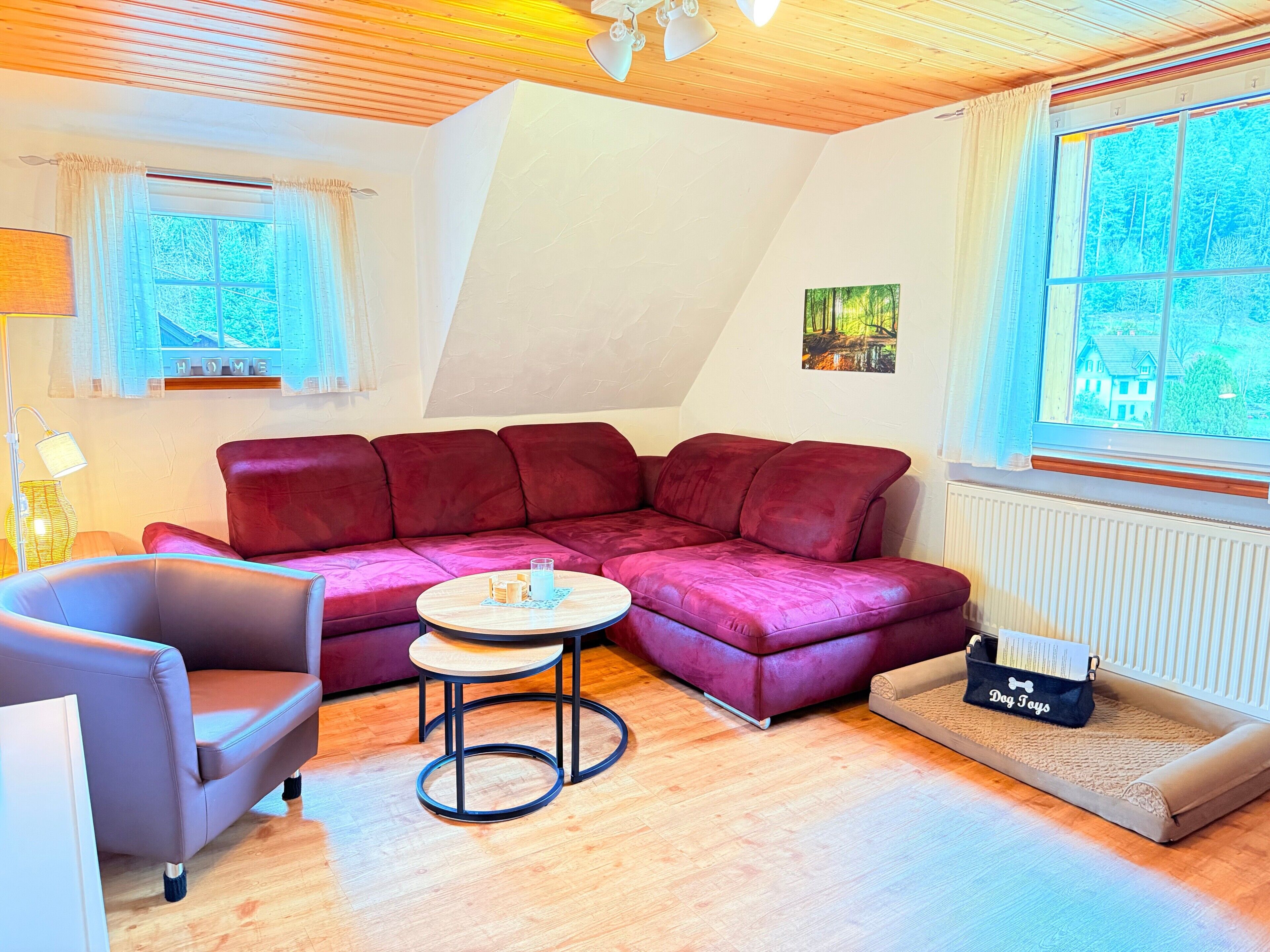 Fernseher