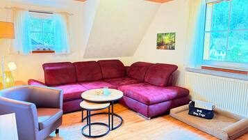 Fernseher