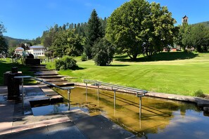 Property grounds - Holiday Apartment 'Waldblick, 75 sqm' with Fenced Garden, BBQ, Wi-Fi, Quiet Forest Edge (Enzklösterle)