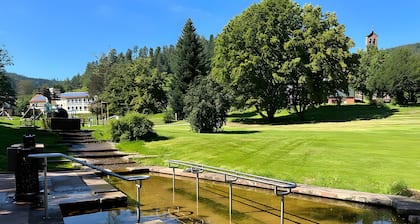 Ferienwwohnung 'Waldblick, 75 qm' mit umzäunten Garten, Grill , Wlan, ruhige Waldrandlage