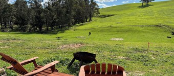 Tanjanerup Chalets "Clementine"
Farm Stay, Meet Larry, Clementine, Lady & Floss