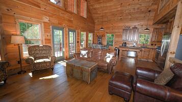 TV connectée, cheminée, jeux vidéo, livres