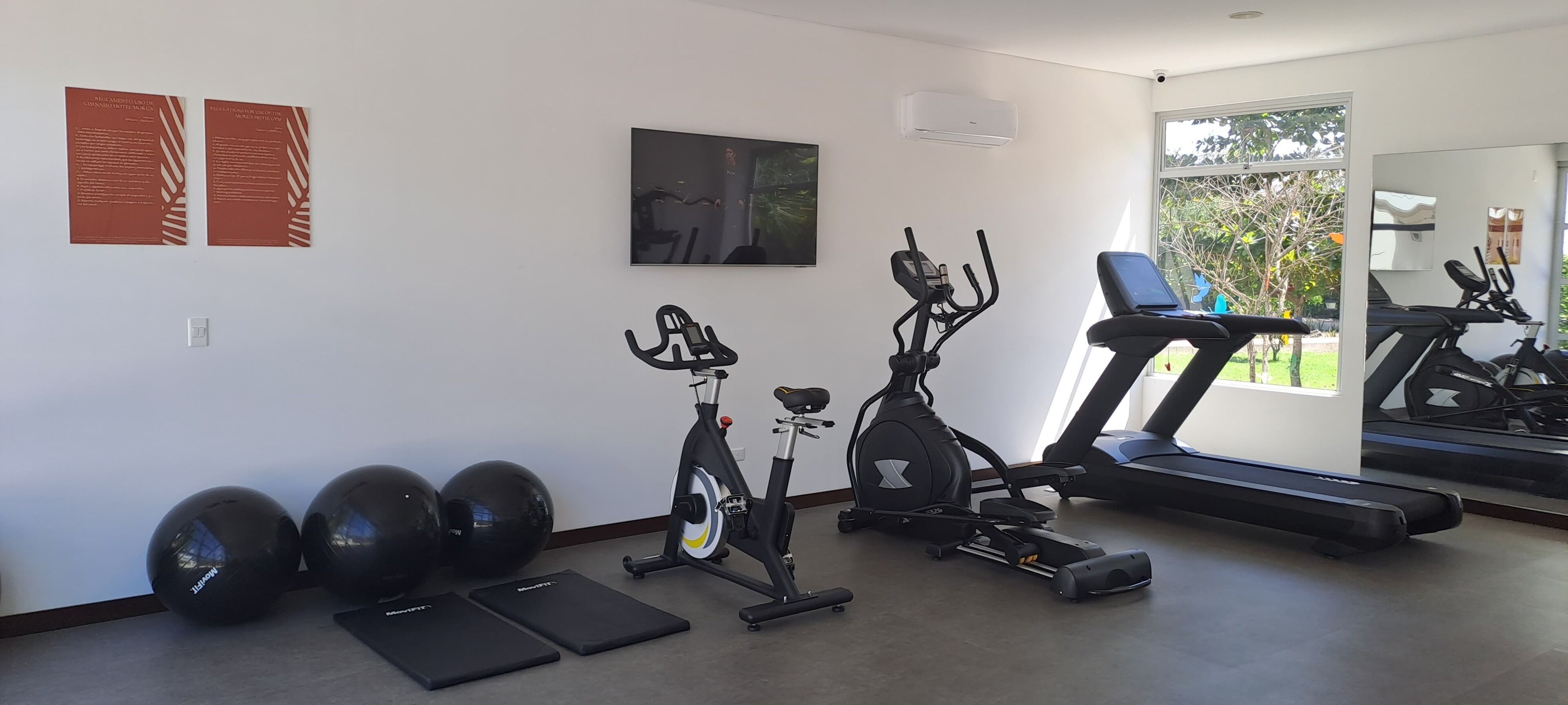 Une salle de sport à domicile équipée de vélos d’appartement, d’un tapis de course et de ballons d’exercice.