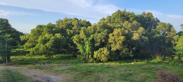 Vista da propriedade