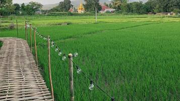 Bungalow Deluxe | Hiên