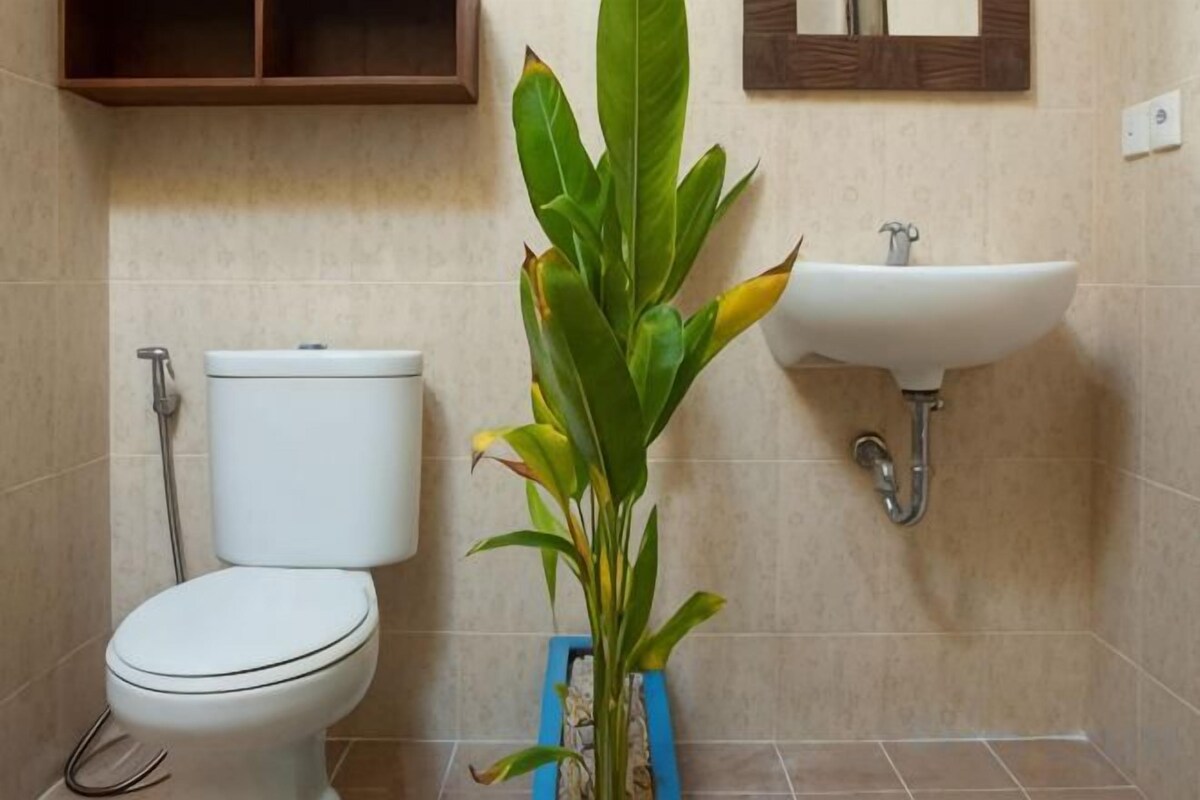 Bathroom | Shower, rainfall showerhead, towels