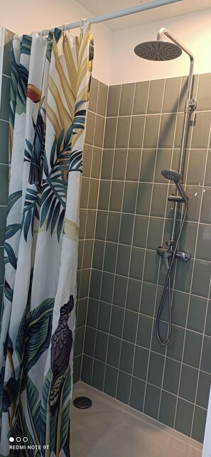 Shower, hair dryer, towels, toilet paper