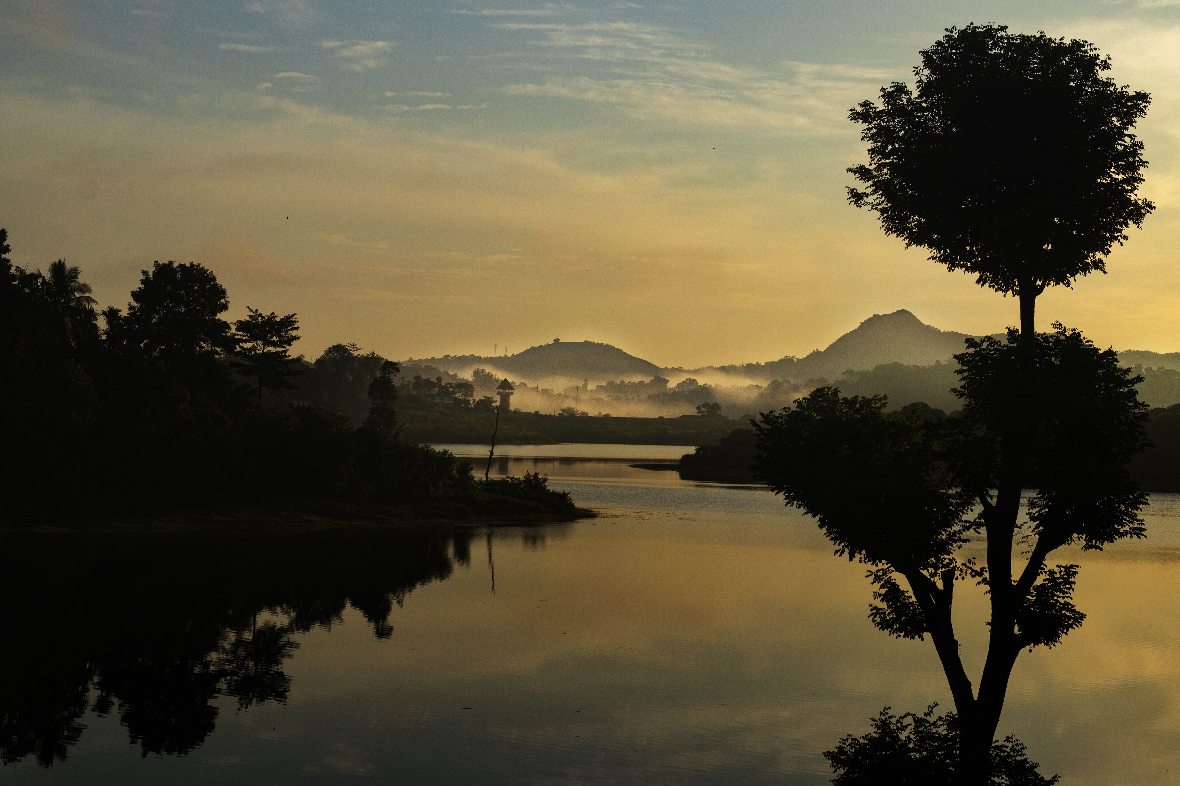 A serene landscape with a calm river, a prominent tree in the foreground, and a misty mountain range in the background.