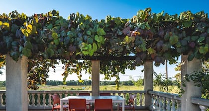 Tonnelle Gaillacoise - Aircon - Pool