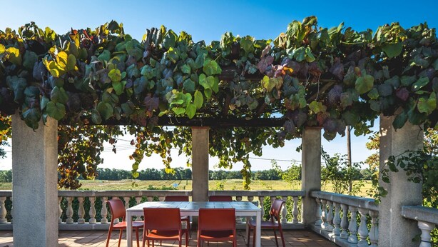 Ein überdachter Außenbereich mit Pergola, Tisch und Stühlen.