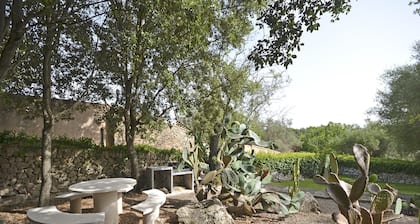 Es Romagueral - Wunderschönes Haus mit Wald, Pool und Klimaanlage in Mallorca