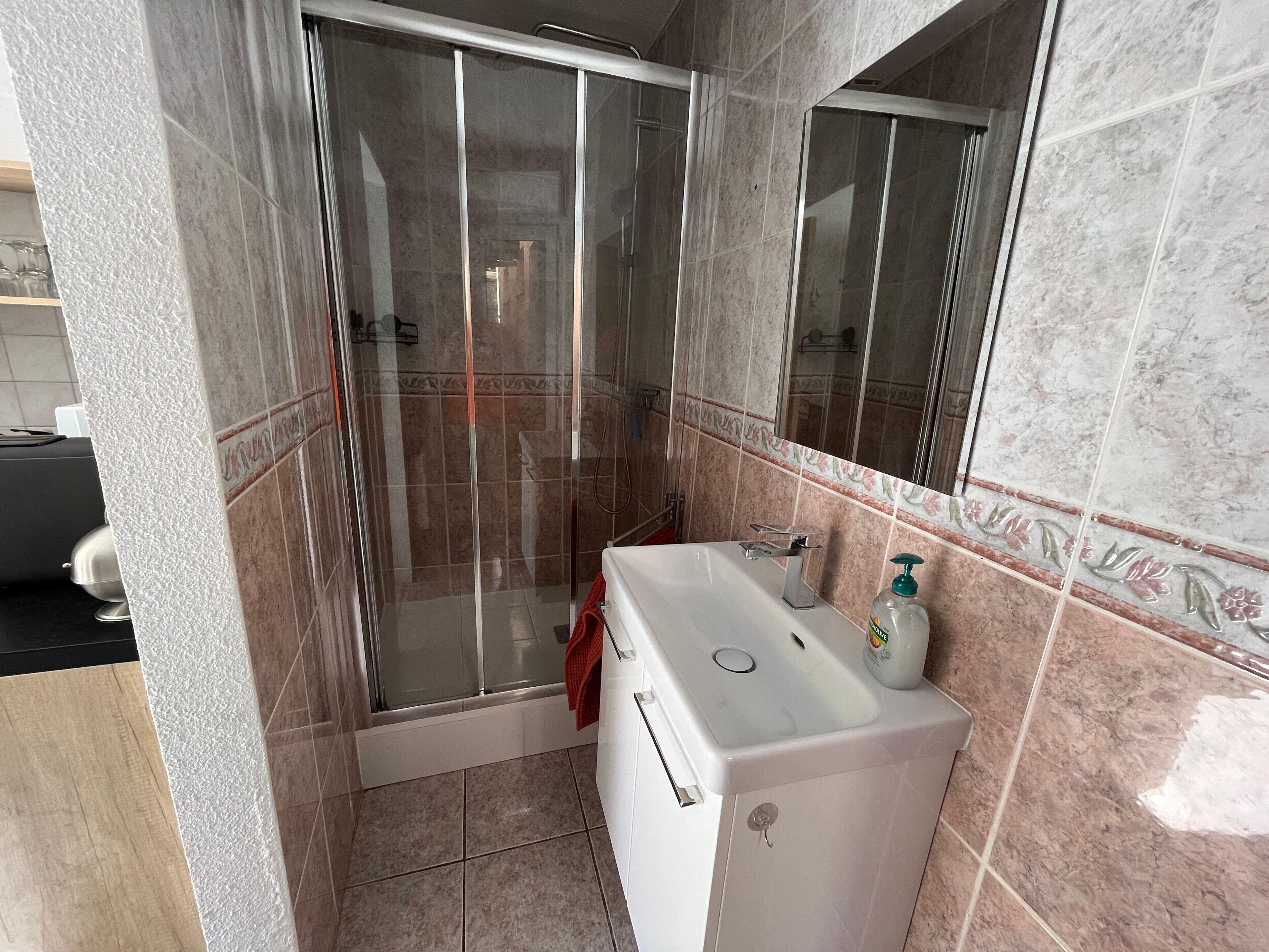 Un baño con ducha envuelta en vidrio, un lavamanos blanco con dispensador de jabón y un espejo sobre el lavamanos.
