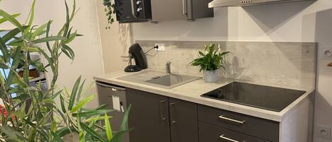 Fridge, microwave, stovetop, coffee/tea maker