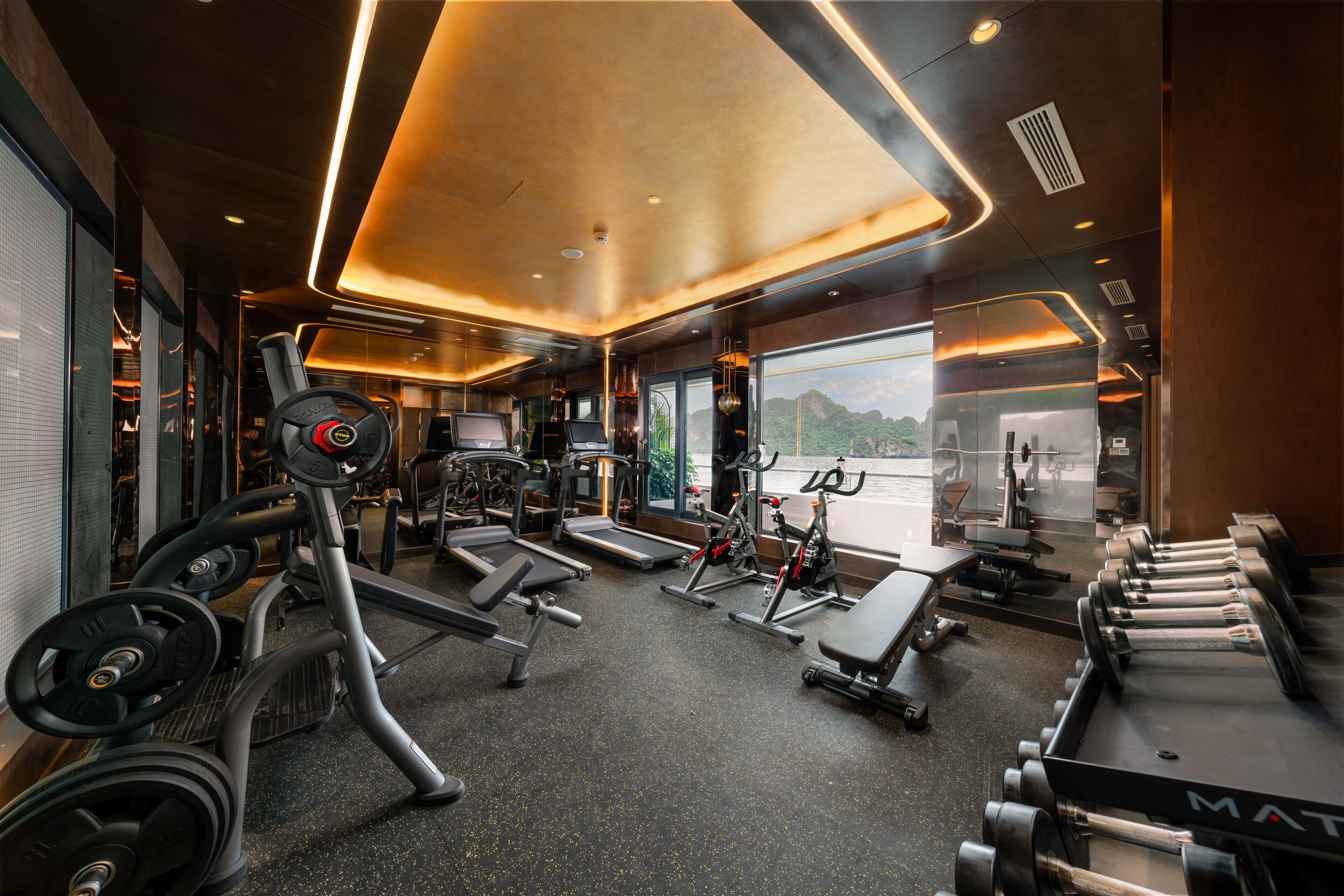 A modern gym with various exercise equipment, large windows, and a view of the outdoors.