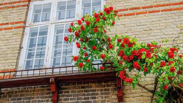 Konaklama yerinin ön cephesi